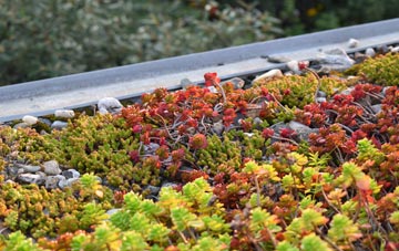 the cost of Sydallt green roof installation