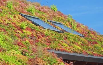 Sydallt living roof systems
