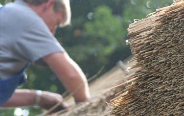 professional Sydallt thatchers