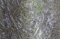 Sydallt fibreglass roof work